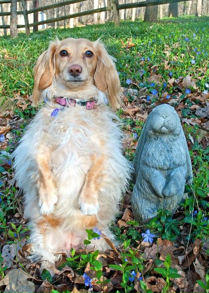 №150, Татьяна Загоровская, 42 года, Санкт-Петербург, Россия №150, Татьяна Загоровская, 42 года, Санкт-Петербург, Россия