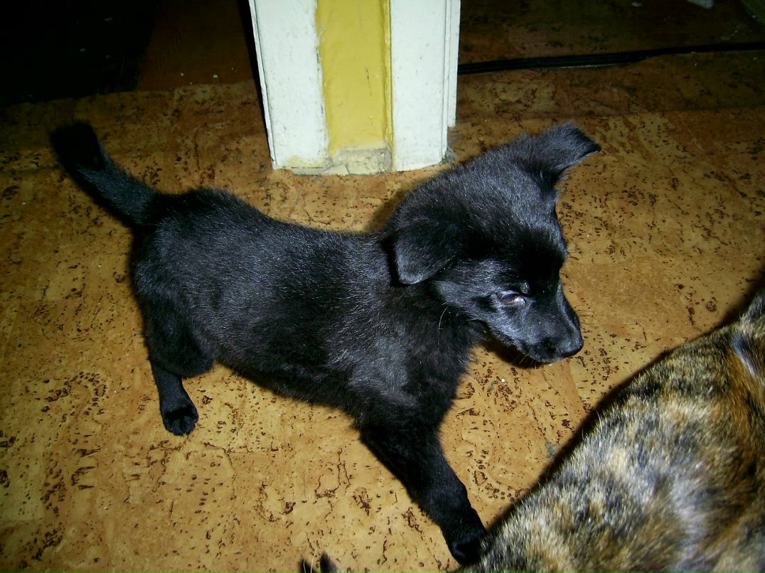 Ксения Лузанова | Киев