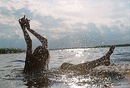 Фотография Анюты Анюты