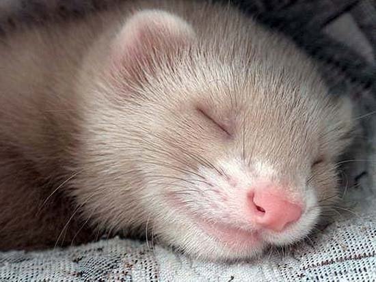 №27, Мария Васильева, 37 лет, Москва №27, Мария Васильева, 37 лет, Москва