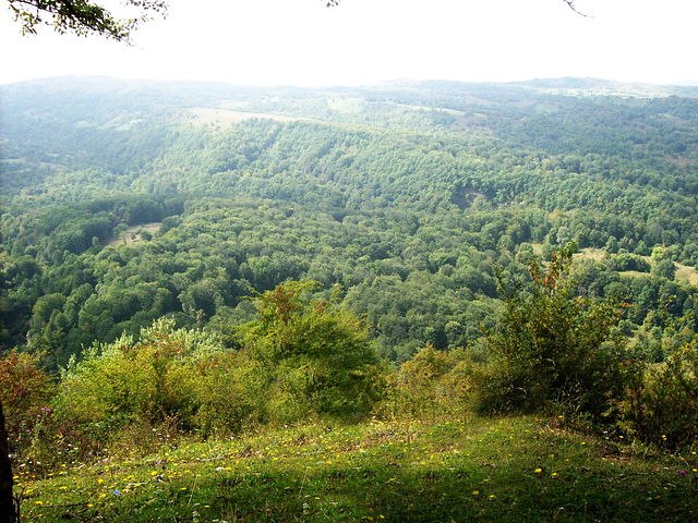 Real Angel ♥ | Москва