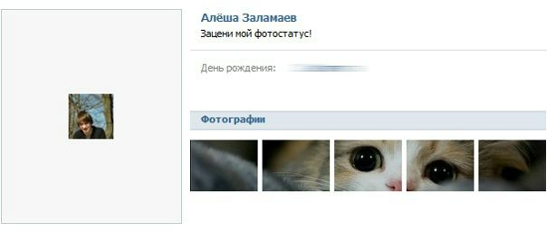 №4, Елена Мамаева №4, Елена Мамаева