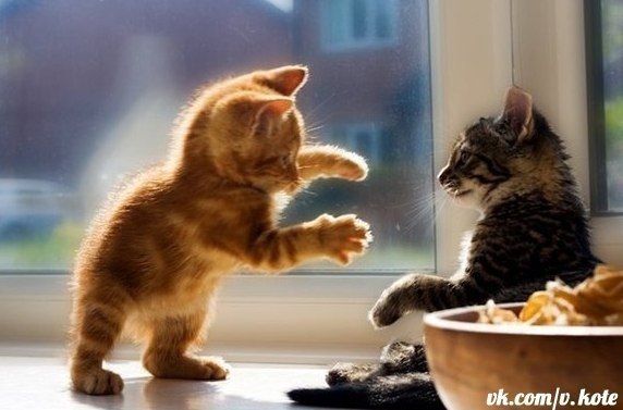 Евгений Сергеев | Полтава