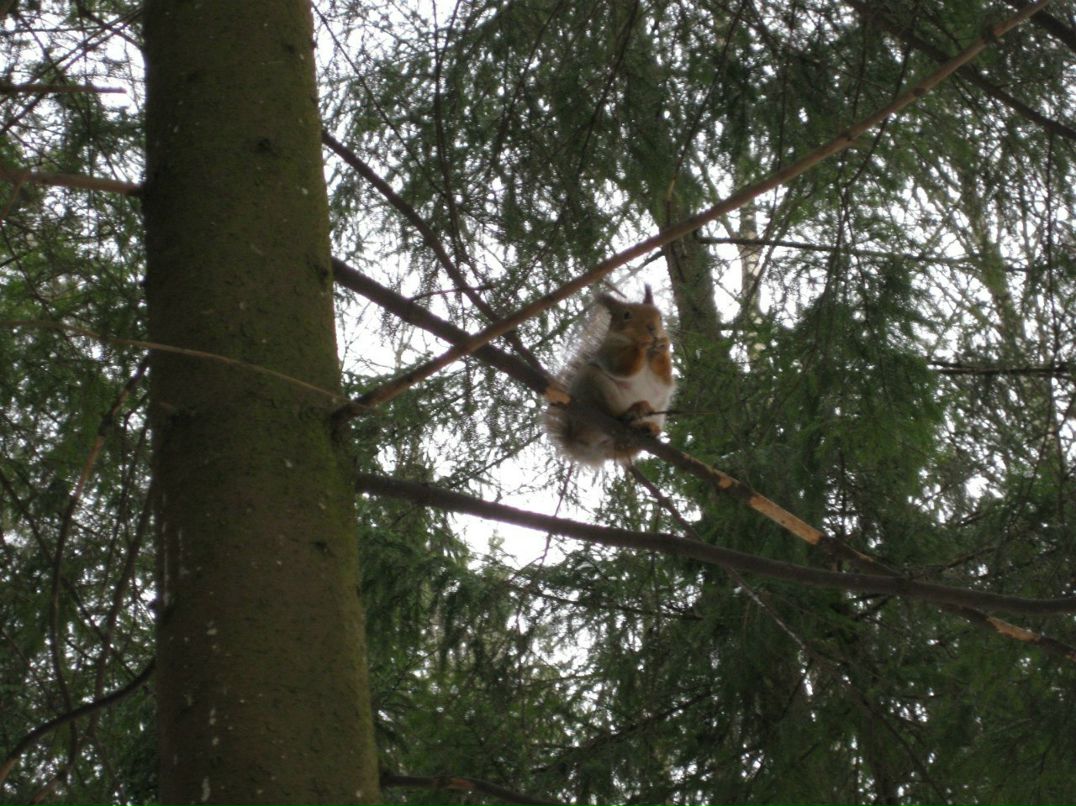 Анна Хардова | Санкт-Петербург