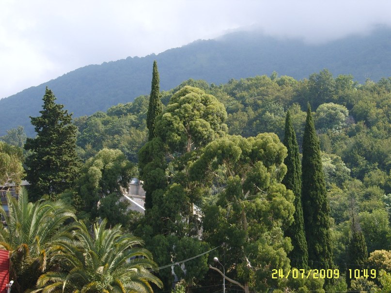 Андрей Капустин | Лиски