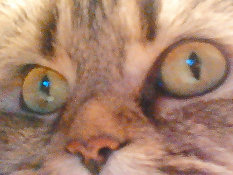 №89, Яна Колоскова, Уфа №89, Яна Колоскова, Уфа