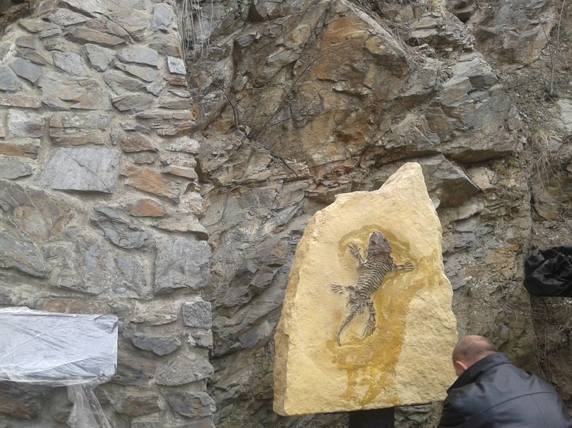 Арина Борисова | Москва