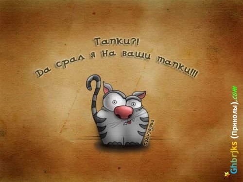 №167, Катерина Вольф, Донецк №167, Катерина Вольф, Донецк