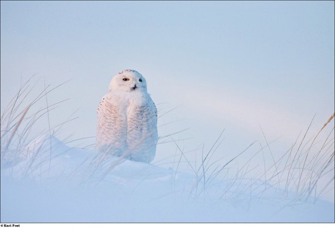Ольга Максикова | Волгоград