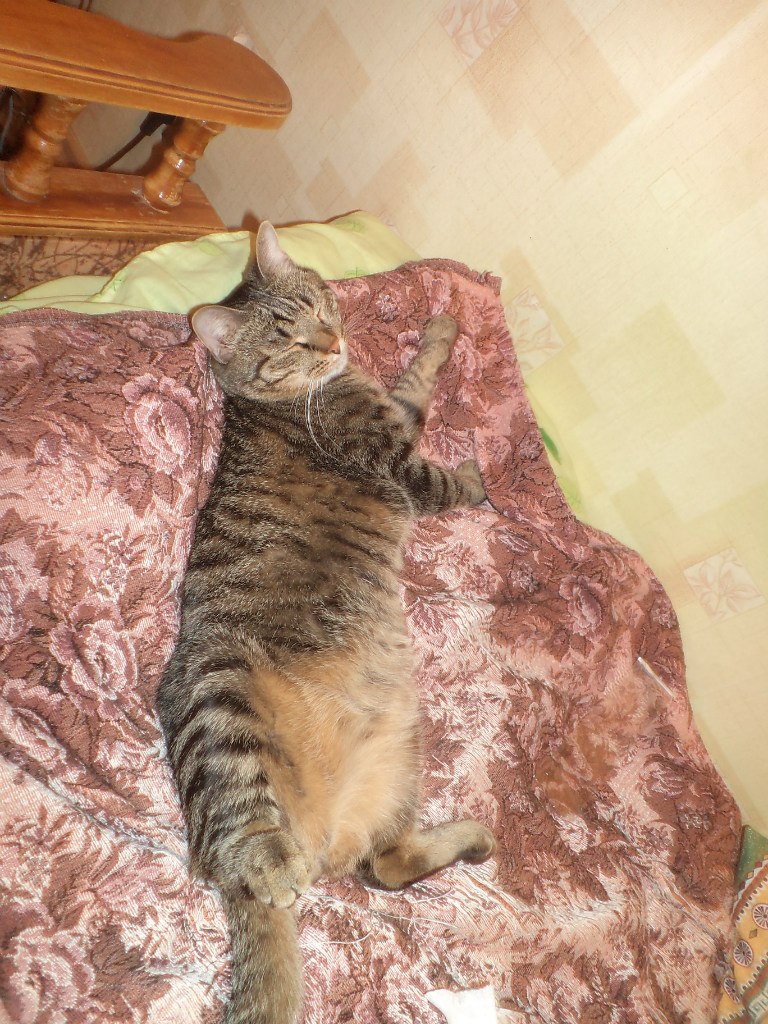 Екатерина Мыльникова | Пенза