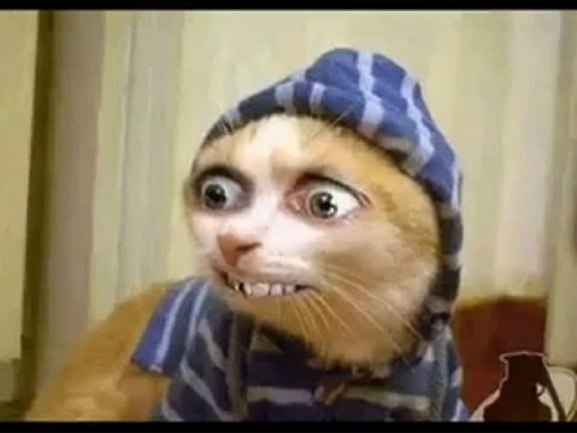 Александр Власюк | Одесса