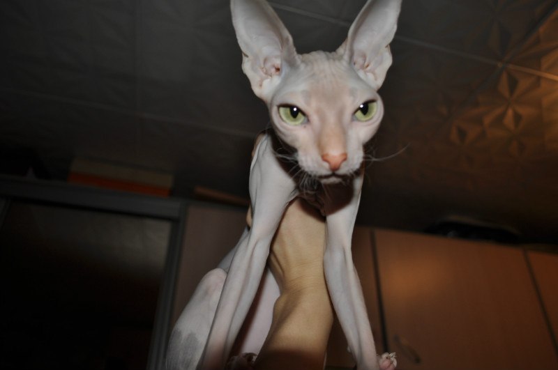 Александр Мезников | Воркута