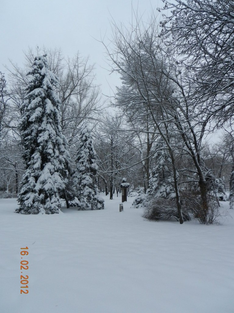 Юрий Малина | Луганск