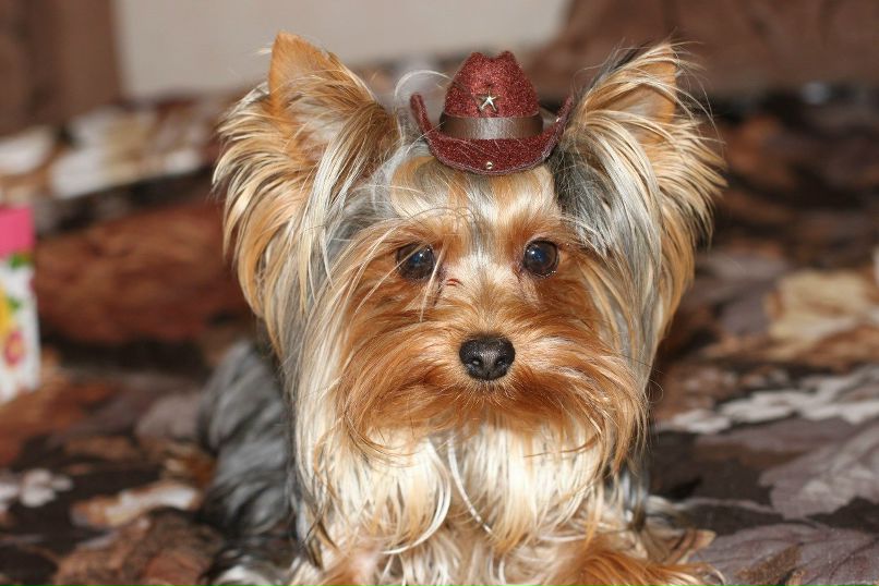 Катерина Михалевская | Кемерово