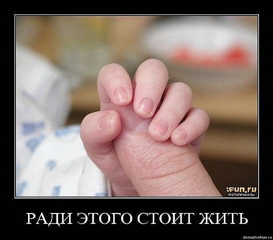 Наталия Пасечник | Житомир