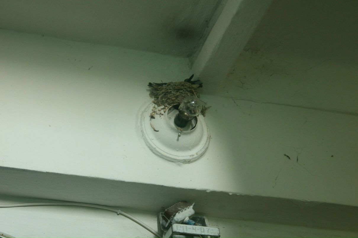 Герман Гагарин | Одесса