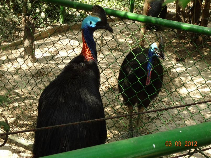 Светлана Степанова | Северодвинск