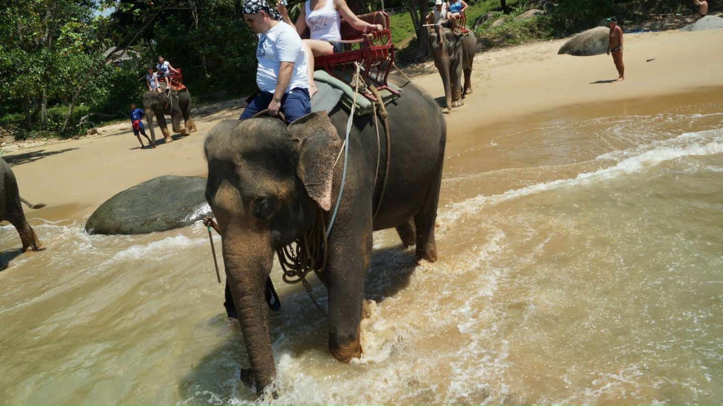 Яна Сахарова | Тюмень