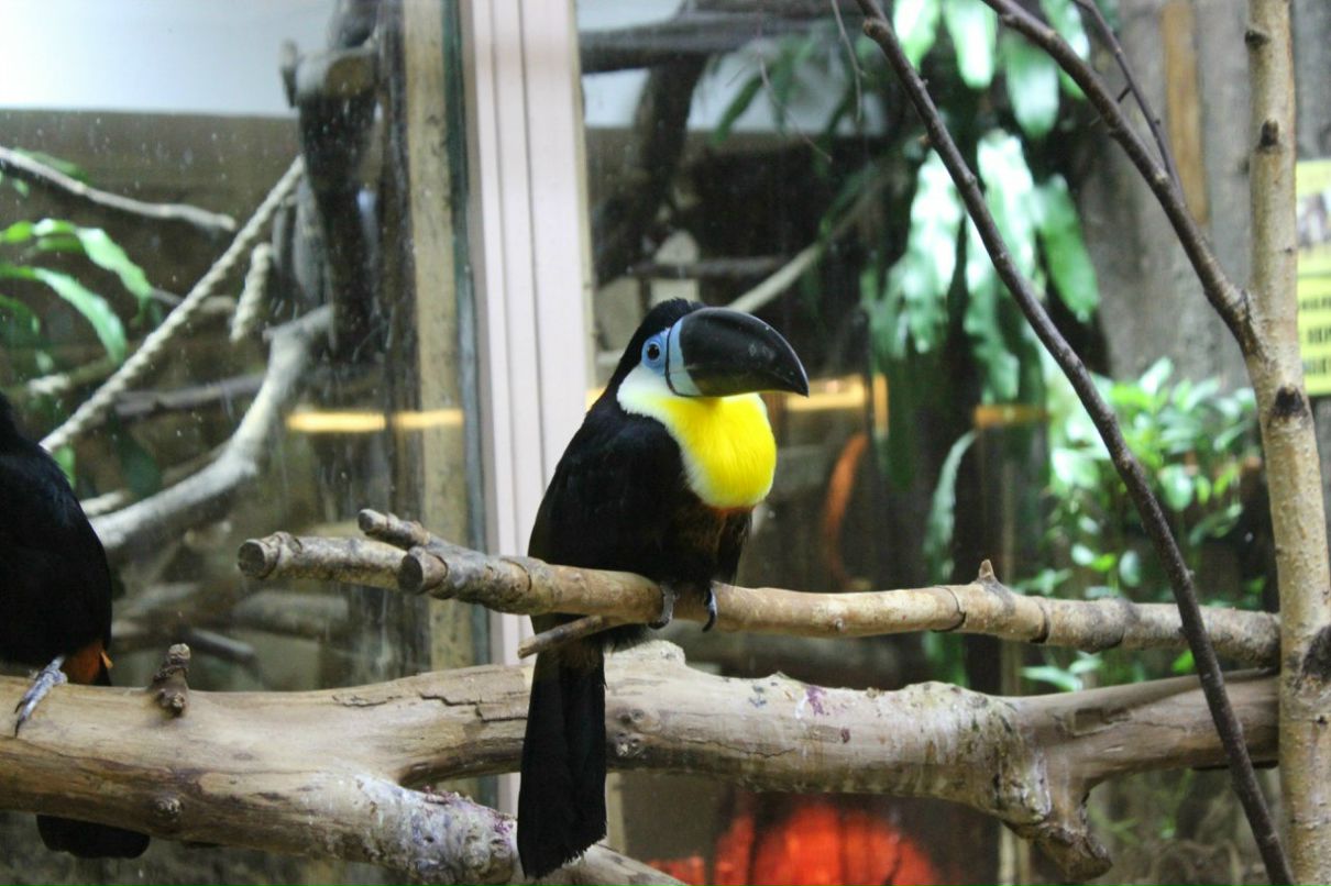 Екатерина Голубенко | Санкт-Петербург