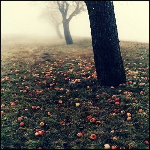 Марианна Киреева | Уральск