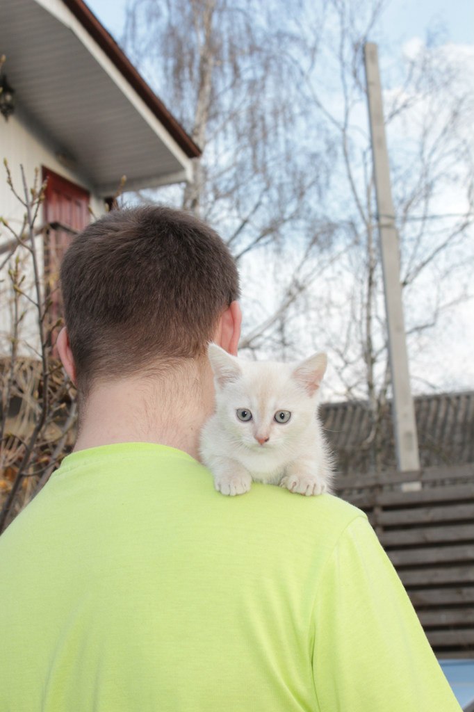 Валерия Костенко (Гарбуз) | Харьков
