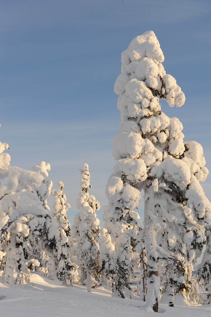 Вова Галайко | Москва