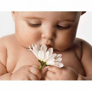 Rimmka Grr | Казань