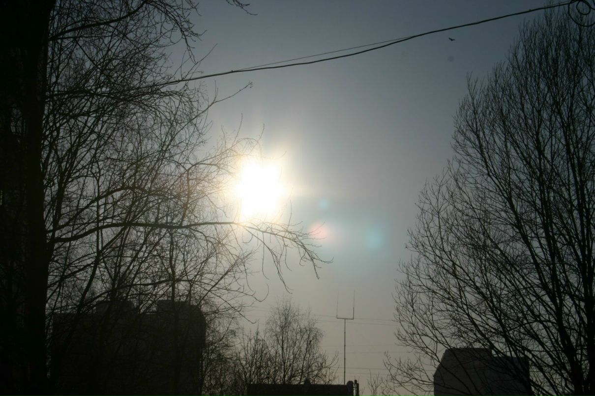 Сашенька Жуковская | Санкт-Петербург