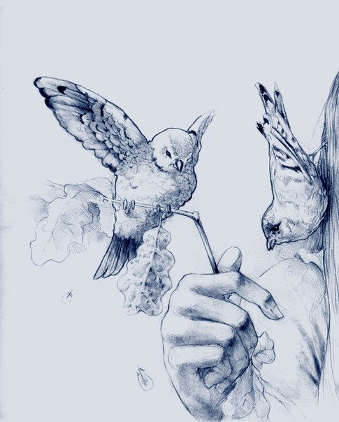 Светлана Светлова | 