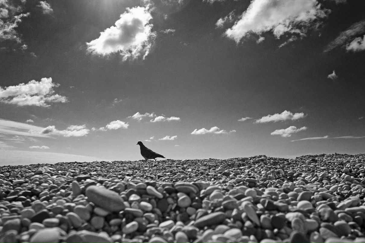 Серёжа Мусин | Ижевск