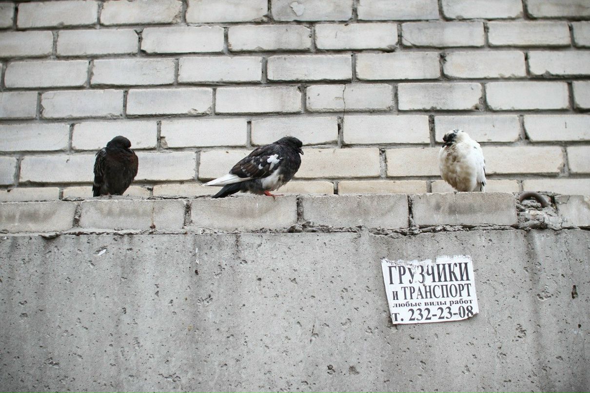 Серёжа Мусин | Ижевск