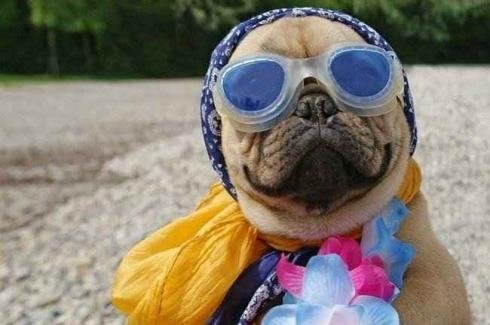 Ольга Потапова | Воронеж