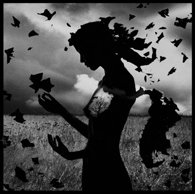 Алина Облап | 