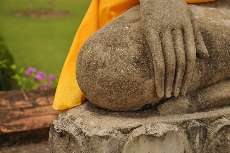 Анна Енина | Москва