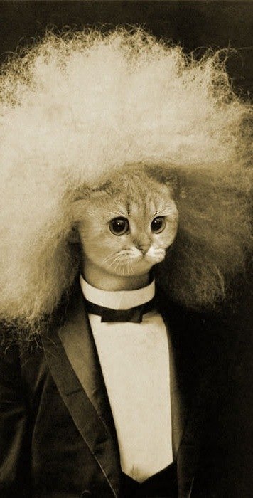 Роман Гунченко | Обнинск