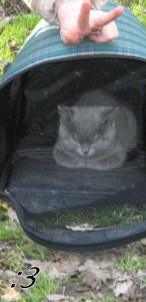 №174, Оля Петрова, 30 лет №174, Оля Петрова, 30 лет