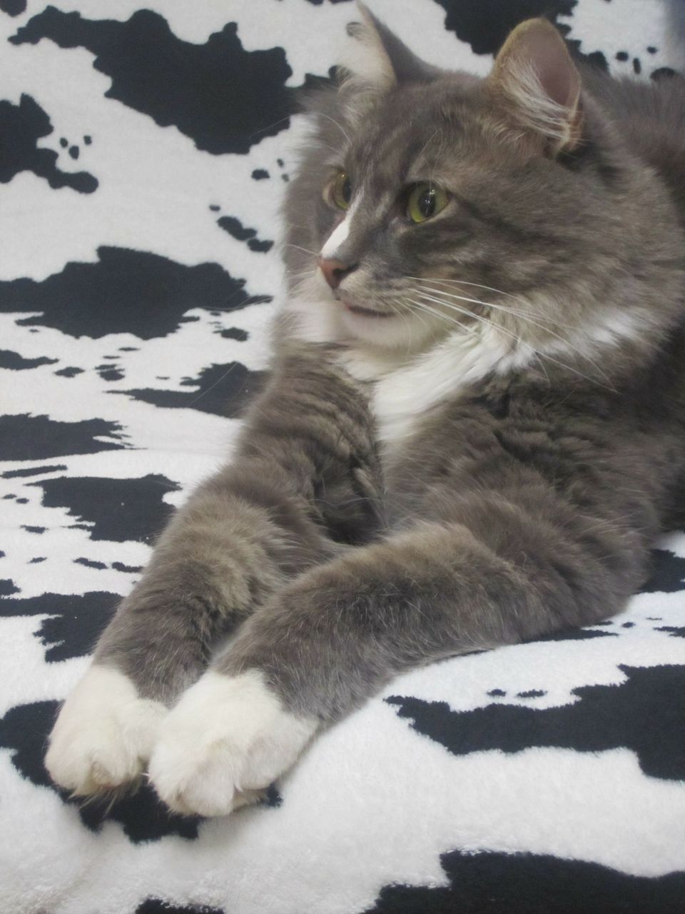 Маргарита Куцко | Кулой