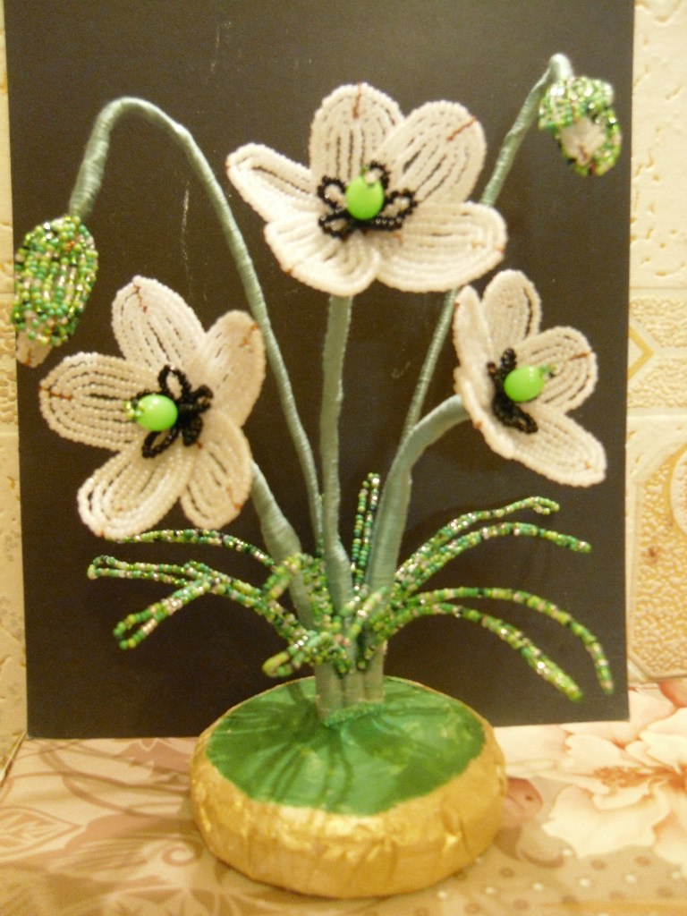 Мария Кострикова | Череповец