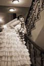 Фотография Сергиенко Анны