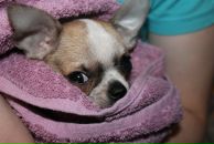 №30 Анастасия Сорокина 01.07: профиль, фото, статус - ВКонтакте