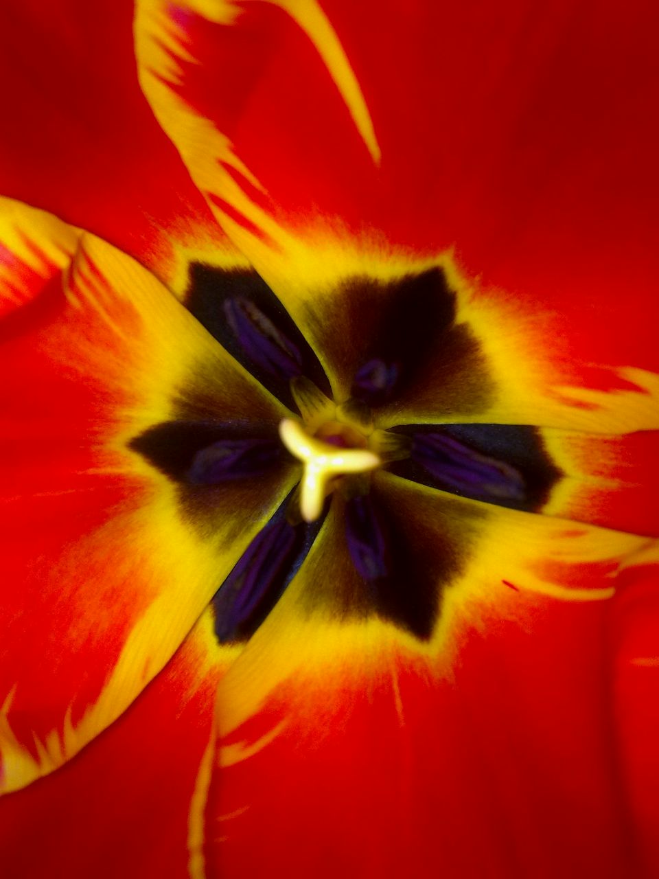 Евгения Мартиросян | Екатеринбург