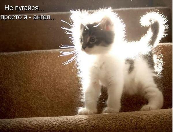 Александра Назарец | Днепр (Днепропетровск)