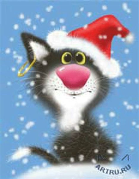 №22, Ирина Телевич, 53 года, Москва, Россия №22, Ирина Телевич, 53 года, Москва, Россия