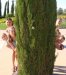 Сония Стрижбич фотография #35