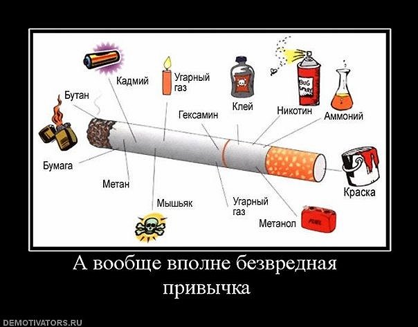 №105, Артур Багавиев, 41 год, Leuven №105, Артур Багавиев, 41 год, Leuven