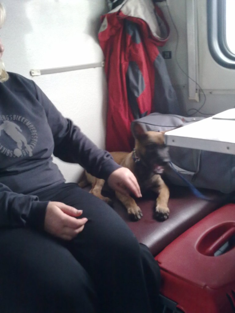 Лёха Имуков БеШеннЫй пИнГвиН | Самара