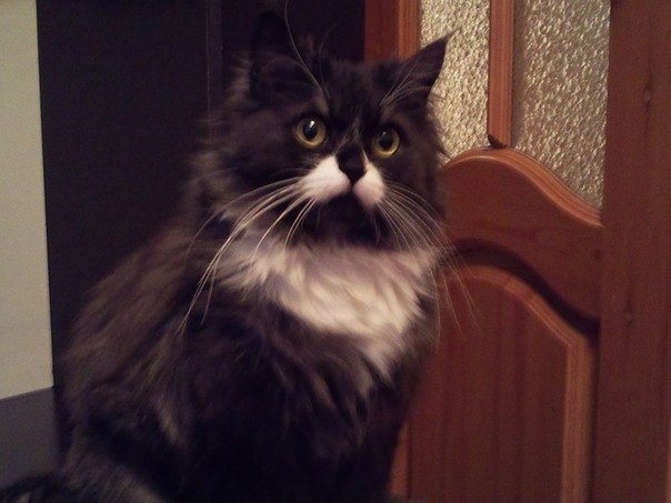 Виталий Фролов | Санкт-Петербург