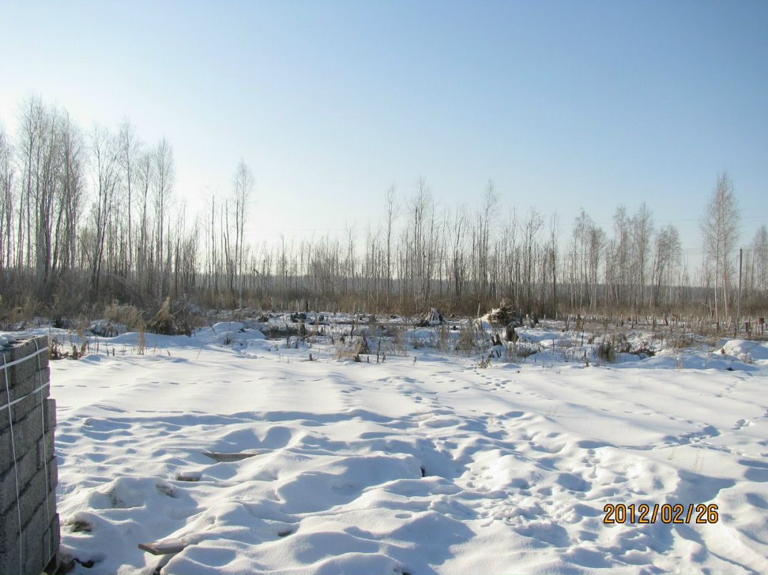 Андрей Василевский | Тюмень