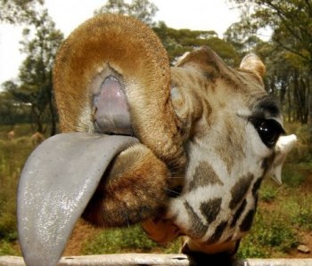 Павел Орлов | Москва