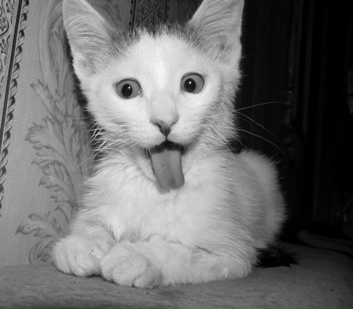 №21, Артем Платонов, 19.6, Ярославль №21, Артем Платонов, 19.6, Ярославль